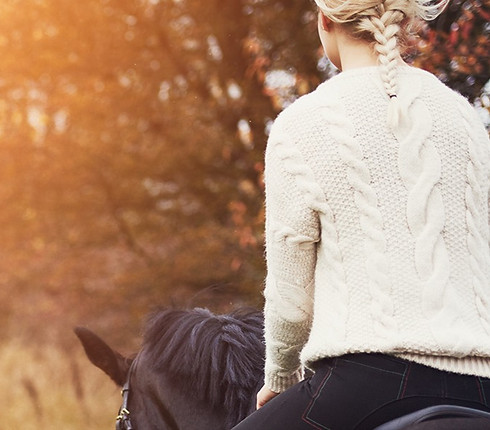 horses+horseback riding+rodeo+trails+mountains+animals+adventure