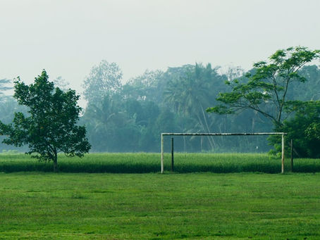 Ensuring Natural Grass Sports Fields Are Safe (2016)