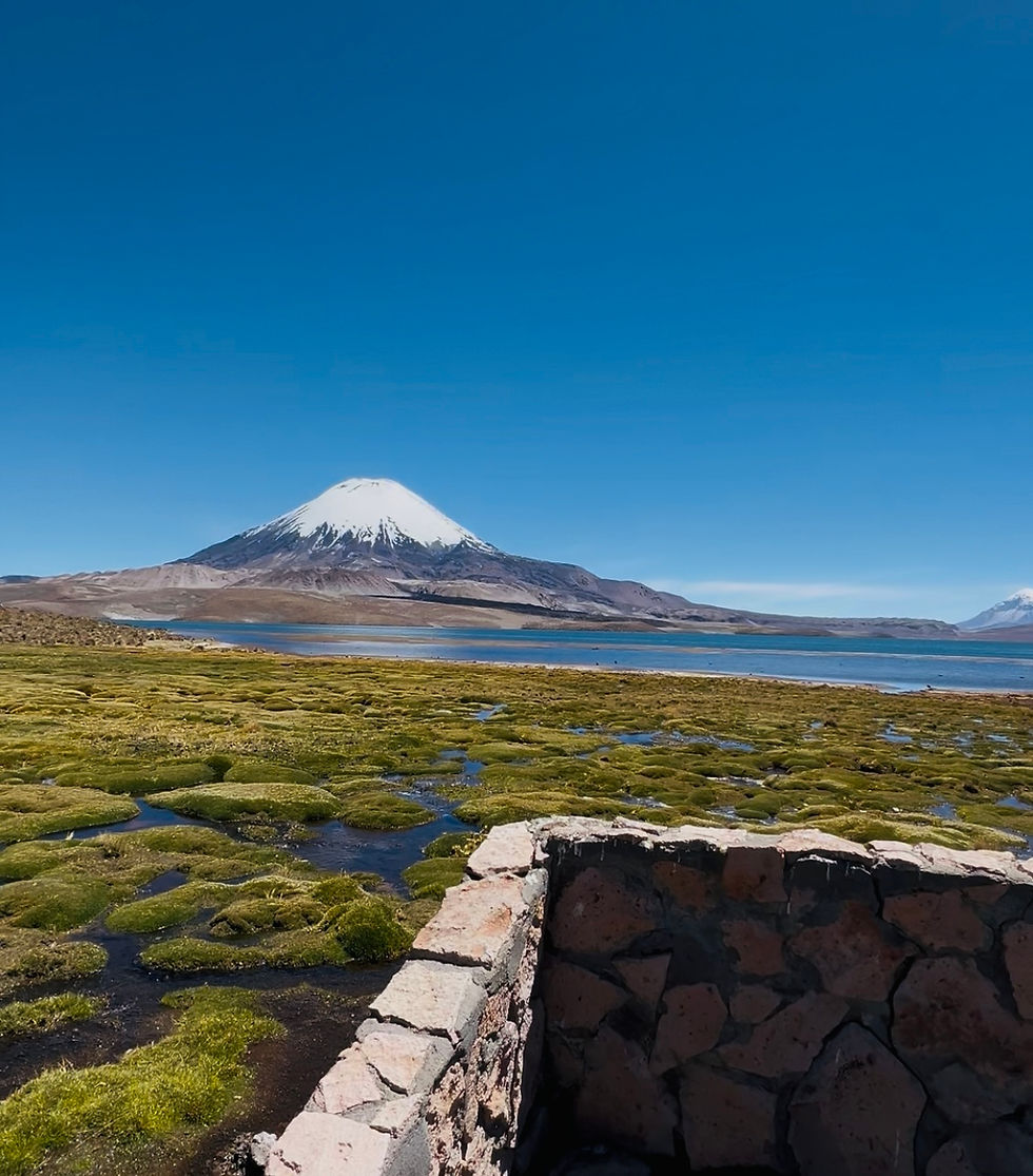 Entre Cumbres y Agua: El Lago Chungará, uno de los Más Altos del Planeta