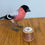 Thumbnail: Bullfinch