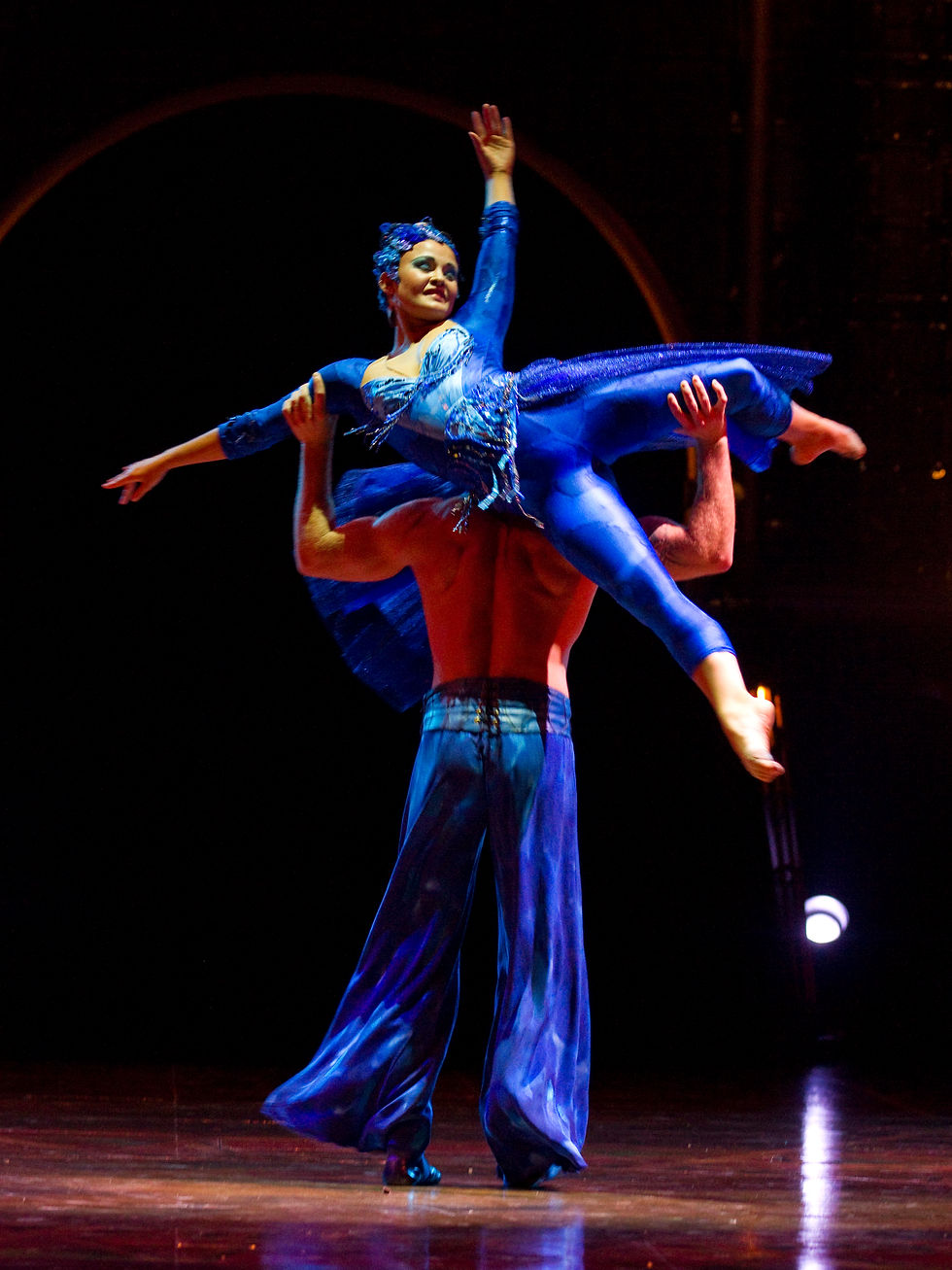 DRALION···CIRQUE DU SOLEIL EN CARACAS