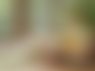 The Advantages of Natural Cleaning Methods