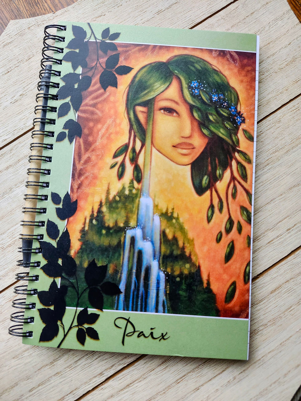 Miniature : Cahier de note