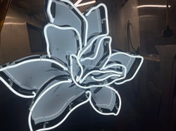 Neon Overlay
