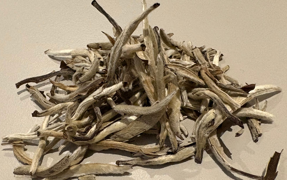 Jasmine Silver Needle tea leaves on a white plate; showing white hairy tea buds. Jasmine Silver Needle White Tea product shot.