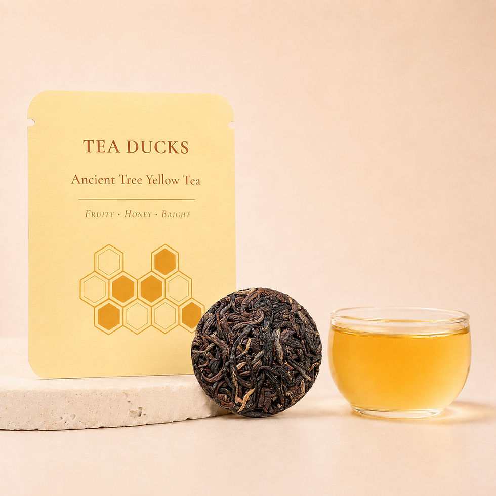 Ancient Tree Yellow Tea Sample · 5g