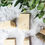 Thumbnail: Lavender Ylang Ylang bar soap