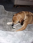IMG_1665 (2).PNG