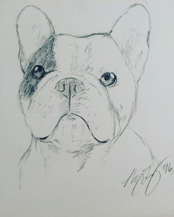 "Manny the Frenchie"