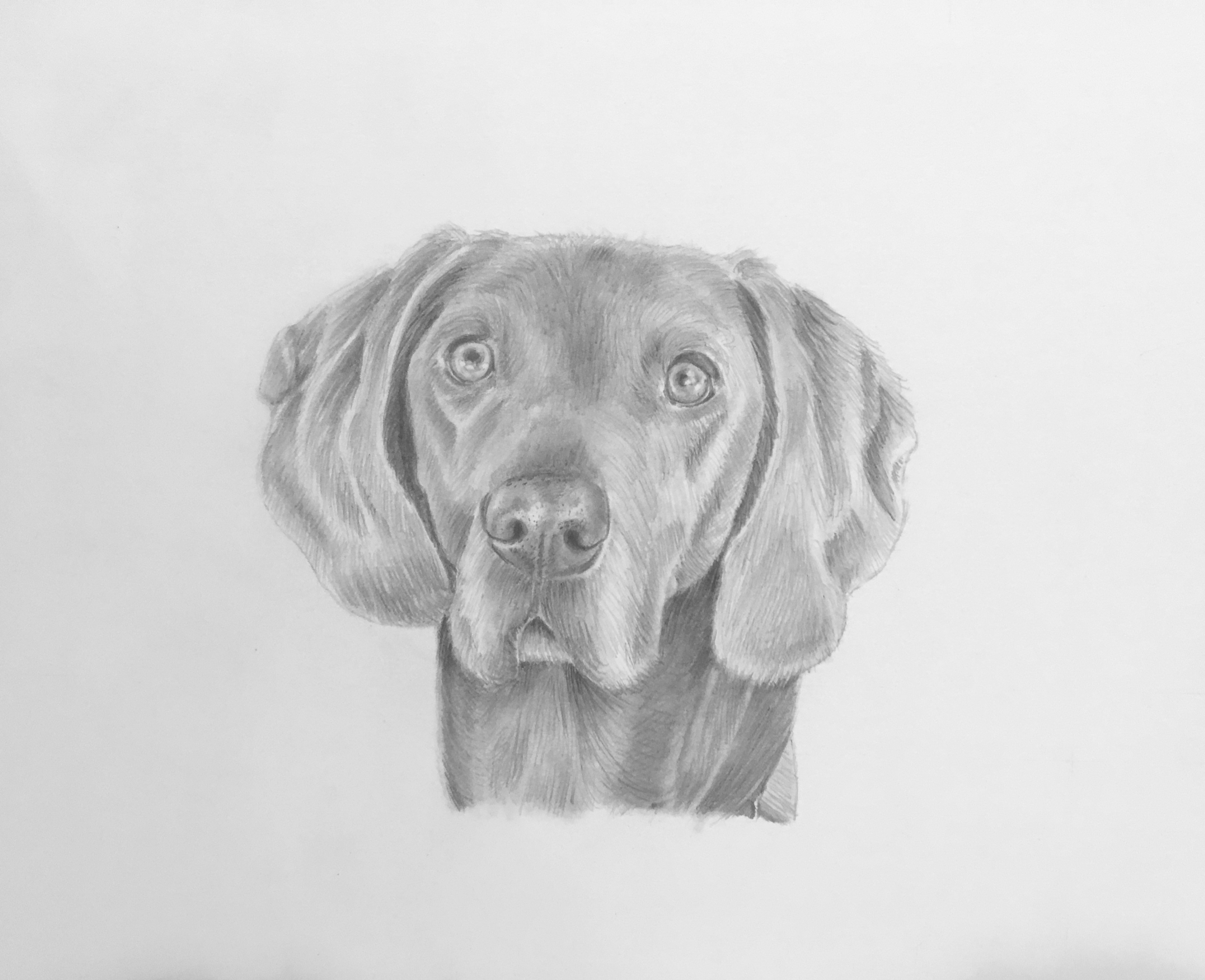 "Max"