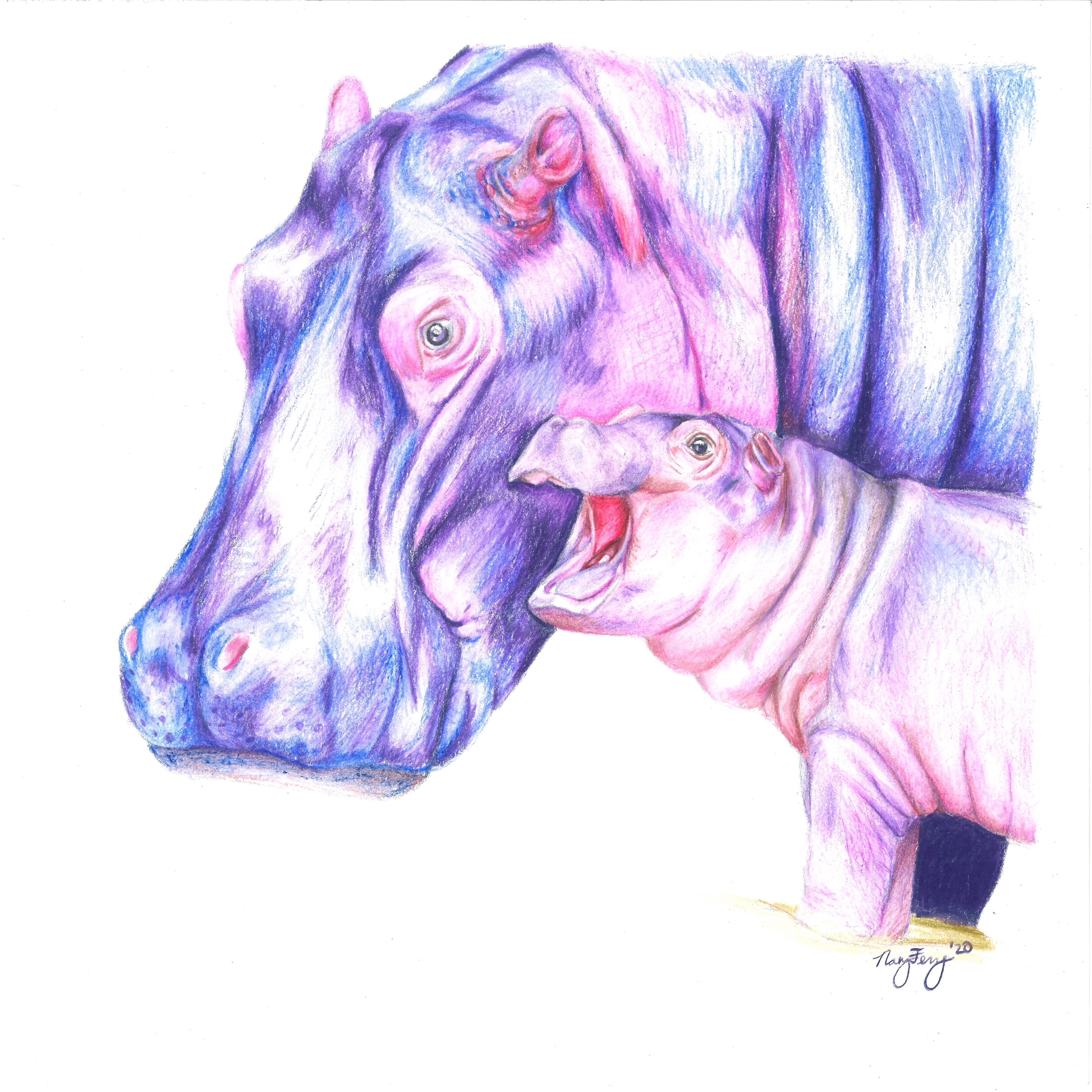 "Hippo Family"
