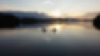 Simpelejärvi.jpg