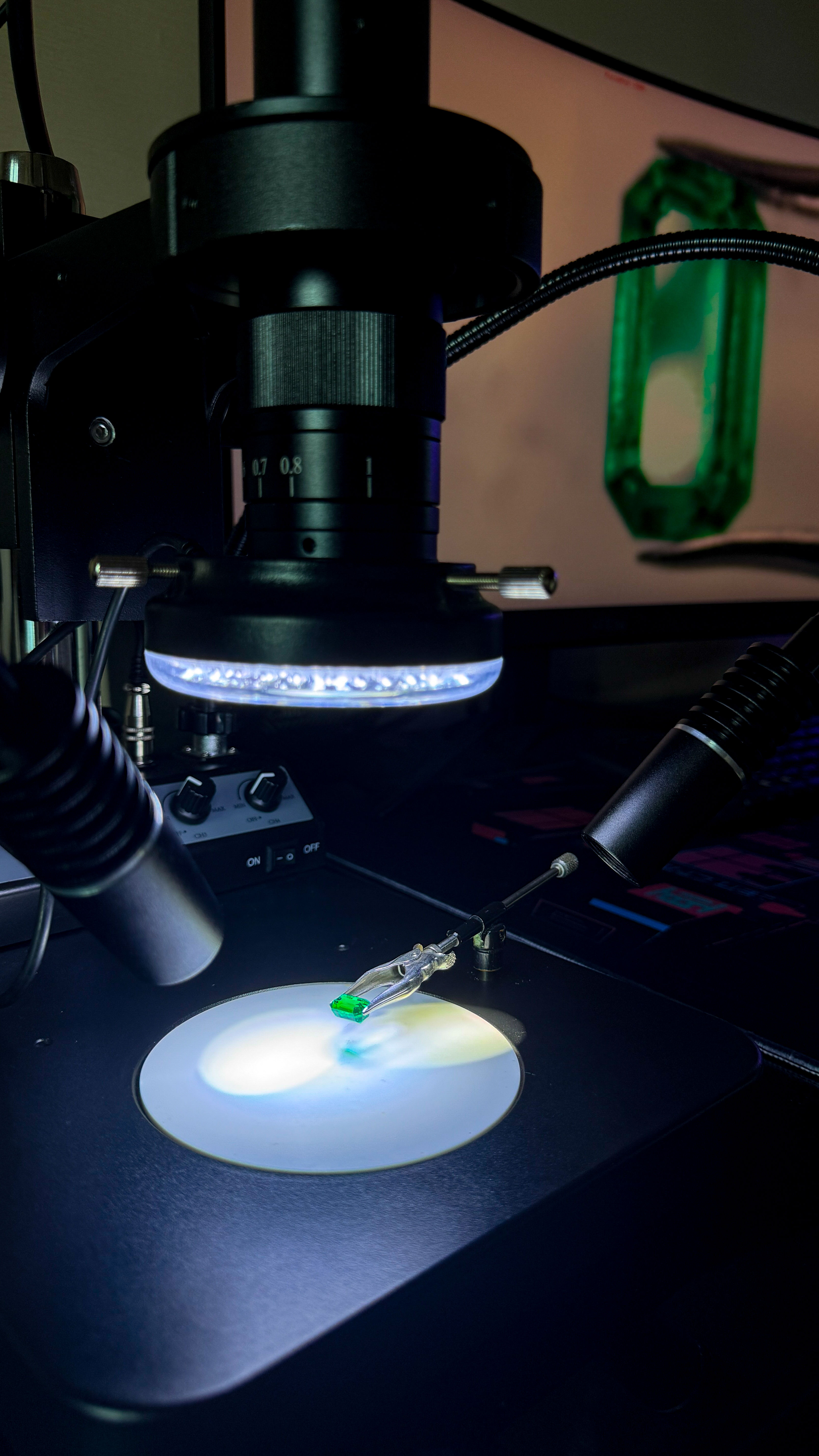 Professional Gemmological Microscope System
