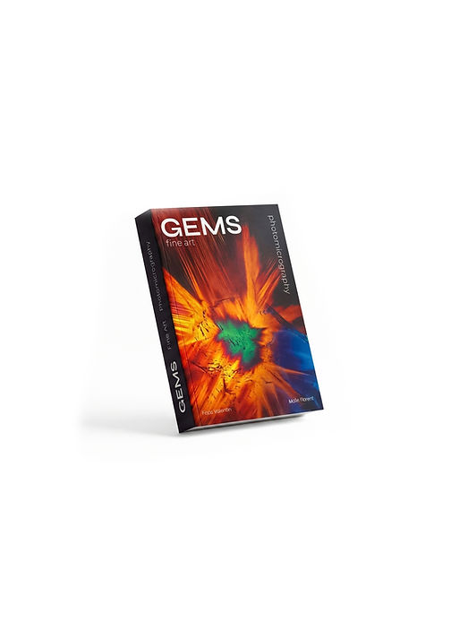 GEMS FINE ART I.jpg