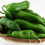 Miniature : Gros piment