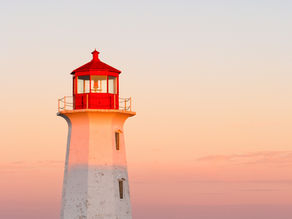 Unlock Your Team's Potential: How the Navigator Bridges Performance Gaps