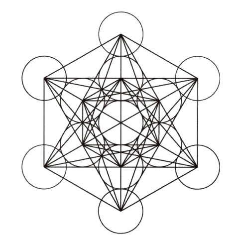 metatroncube.gif