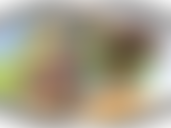 Evaluación Estructural y Cuantificación Económica del Impacto Fiscal y Social: Trata de Personas, Explotación Sexual y Adicciones en el Ecuador del Siglo XXI