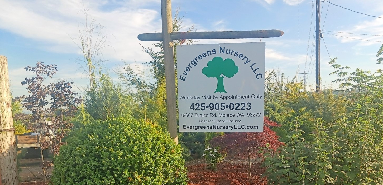 Evergreens Nursery LLC