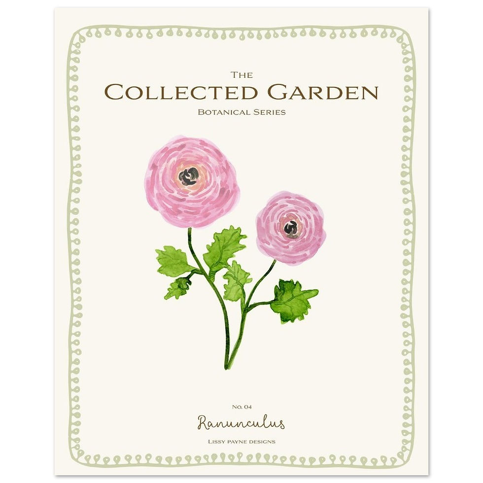 Thumbnail: Collected Garden No. 04 Ranunculus Fine Art Print – Premium Matte Giclée