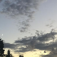 17870261107937968.jpg