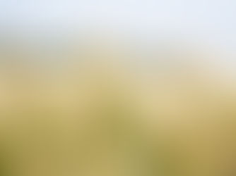 Landbouwnormen 2022 gepubliceerd