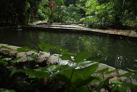 piscina aguas termais pousada eden aguas termais chapada dos veadeiros goias