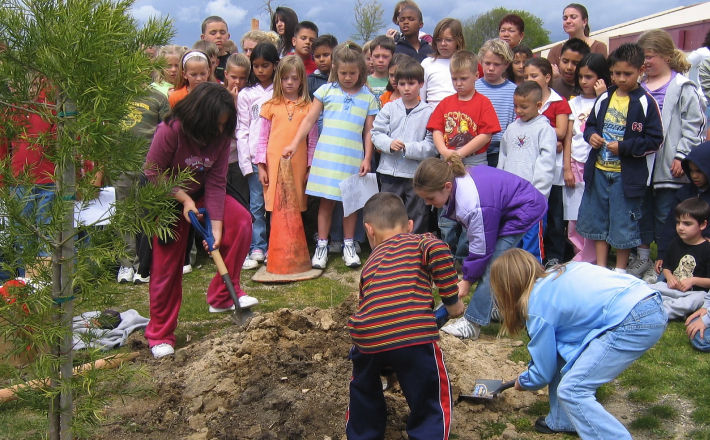 Teachers at San Onofre School implemented innovative programs, from elementary tide pool investigations at Crystal Cove State Park to tree planting ceremonies on the campus.