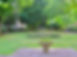 Queen Square.jpg