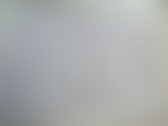 Biomoléculas Orgánicas: Glúcidos