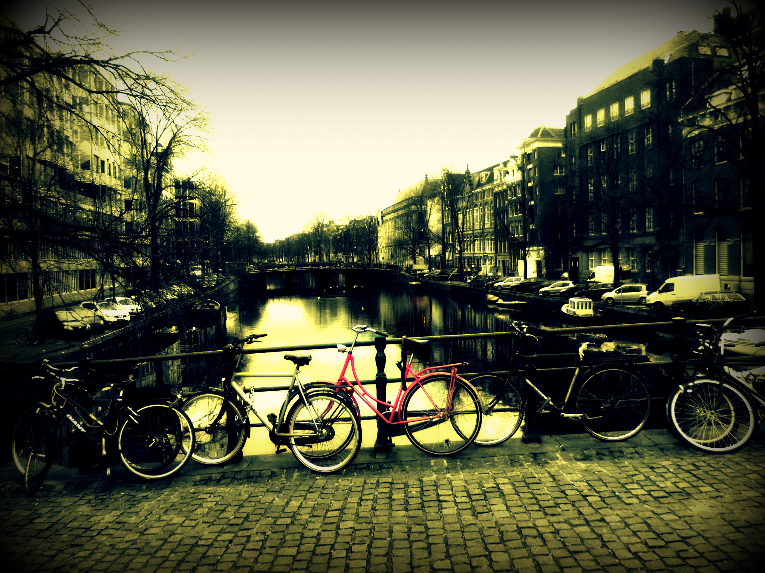 AMSTERDAM 2013