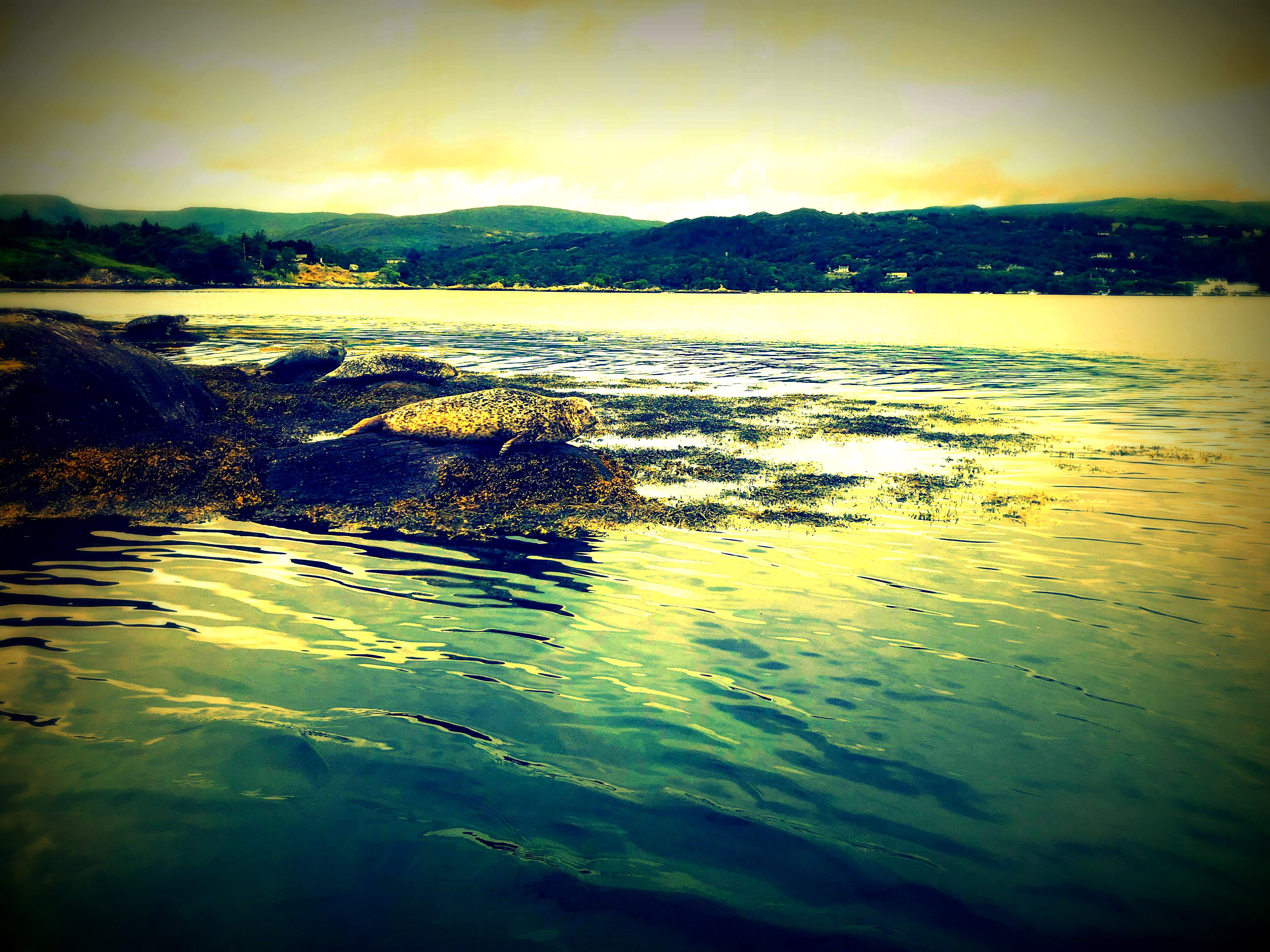 IRLANDE 2018