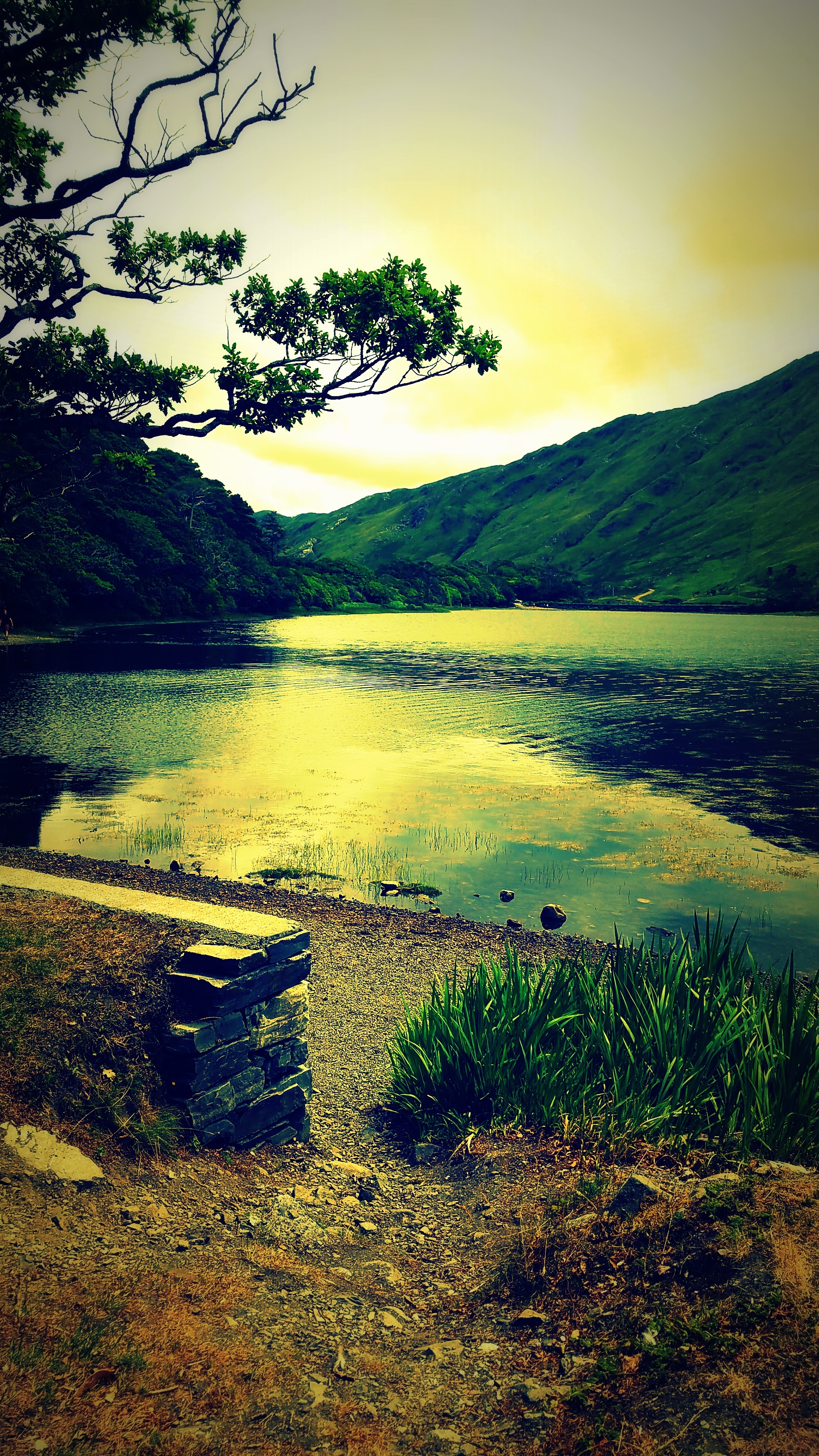 IRLANDE 2018