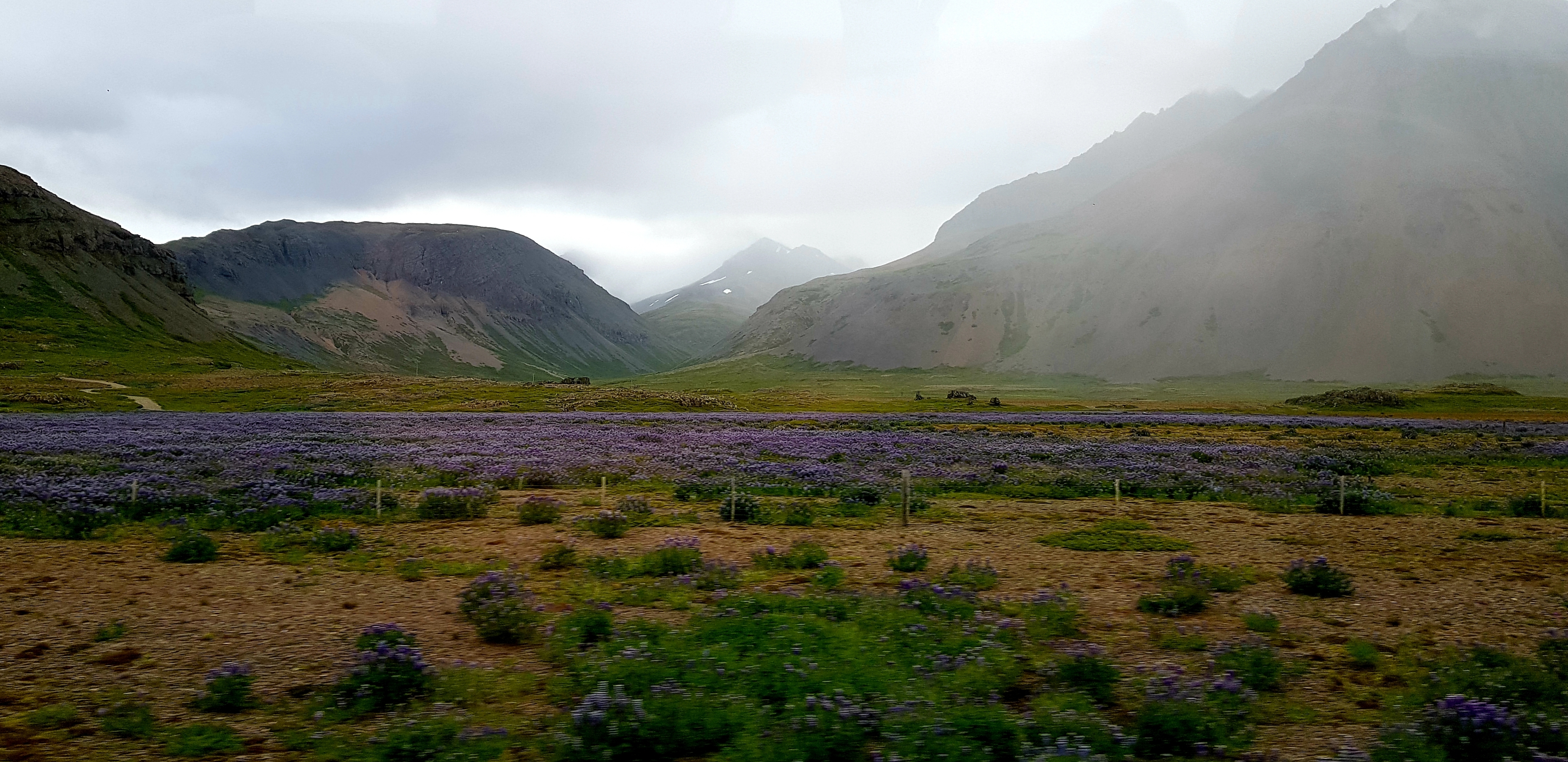 ISLANDE 2019
