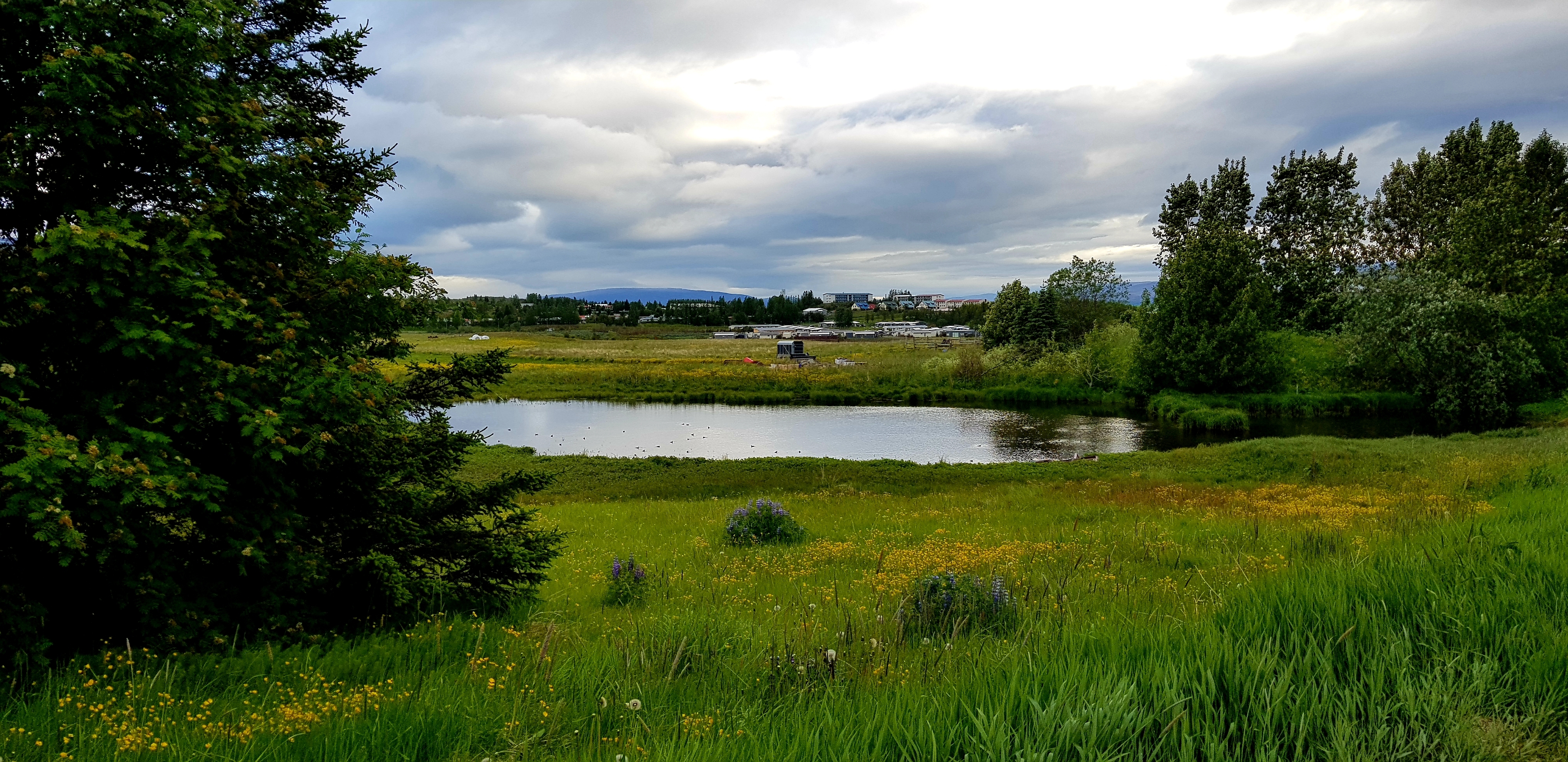 ISLANDE 2019