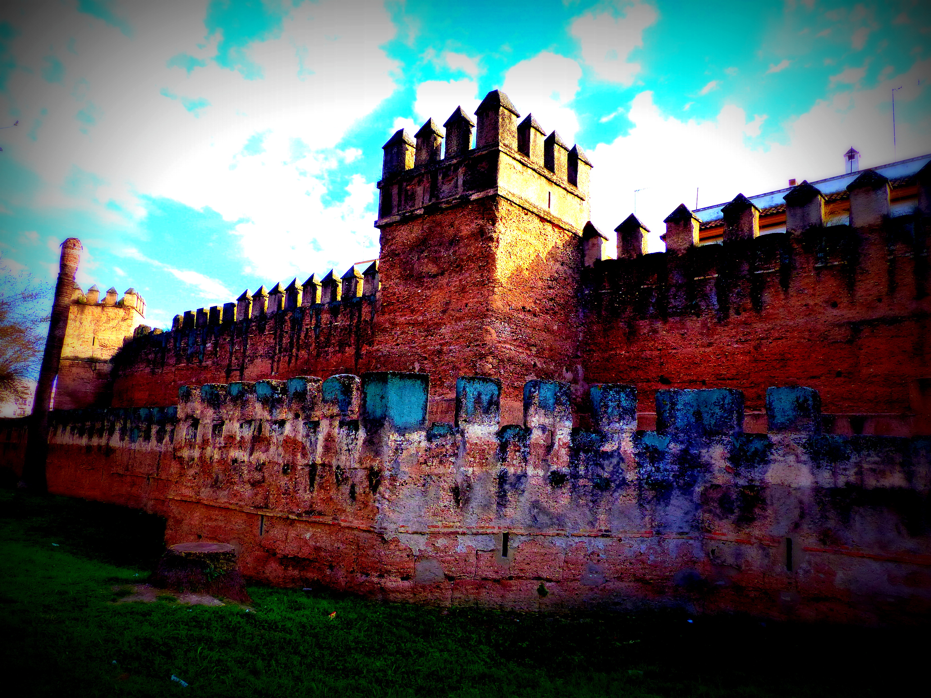 SEVILLE 2014