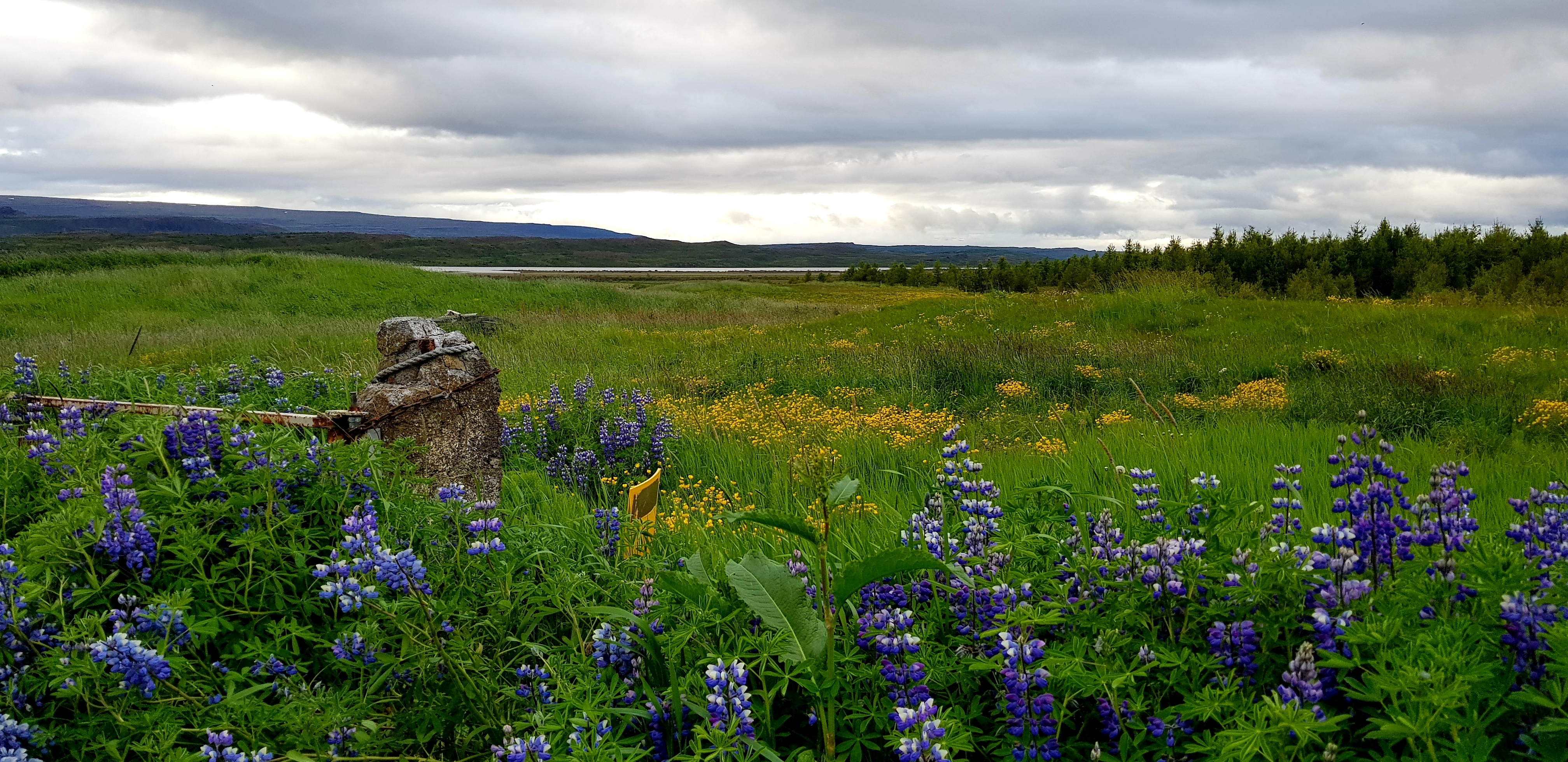 ISLANDE 2019