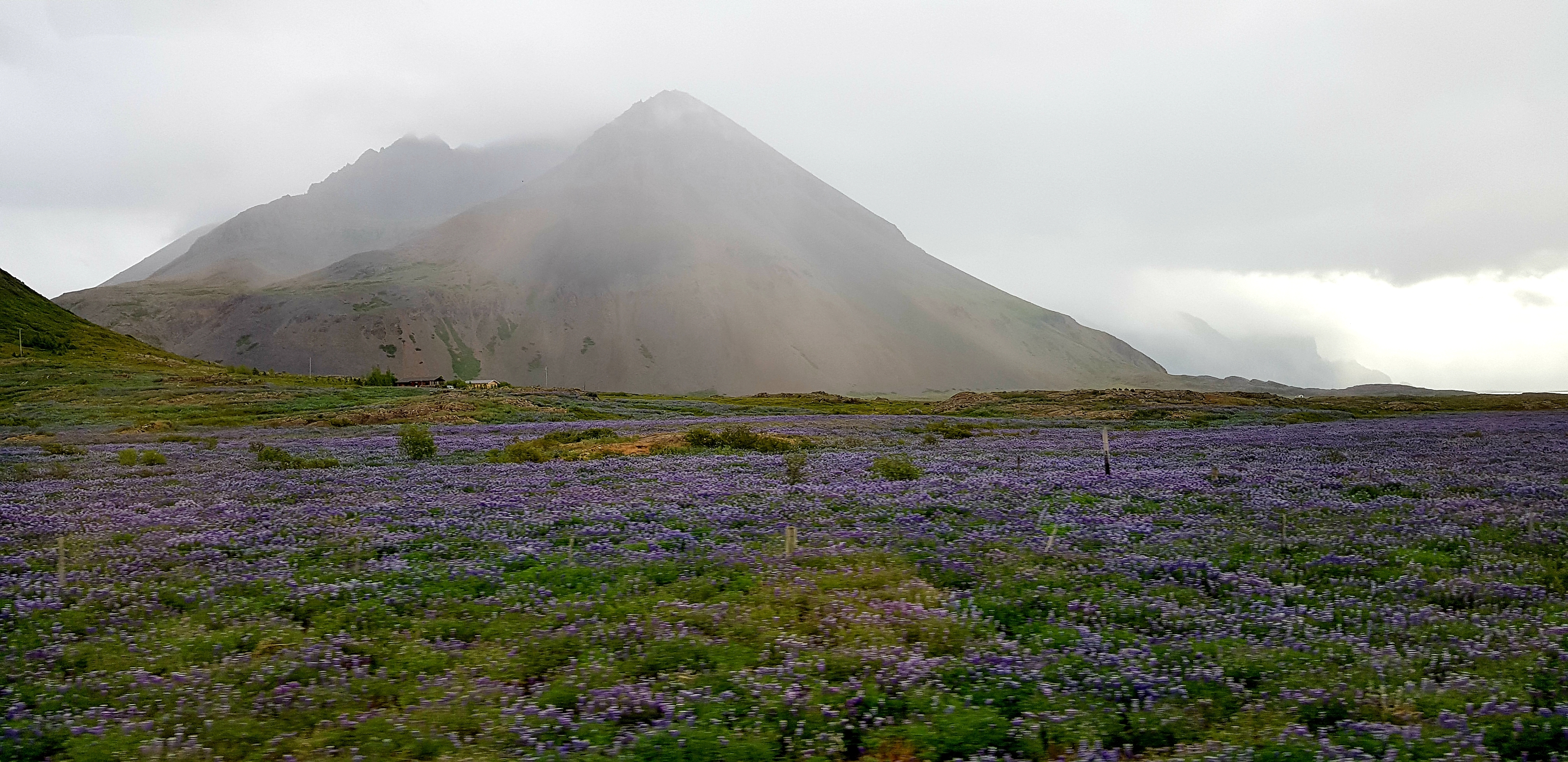 ISLANDE 2019