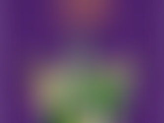 Quer conhecer mais sobre a nova versão do Up-Tracks?