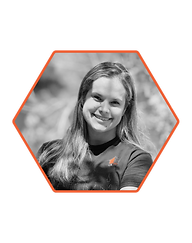 Diseño sin título (5).png