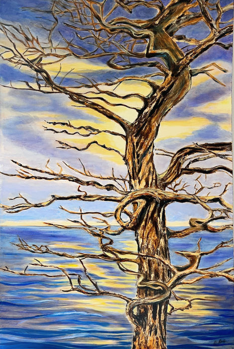 Old Soul By the Sea