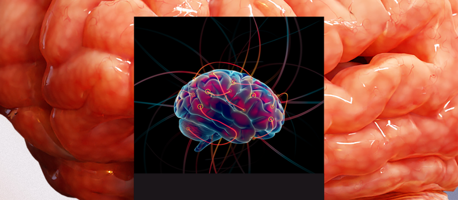 Does music improve neuroplasticity? How can we also use it for mental well-being?