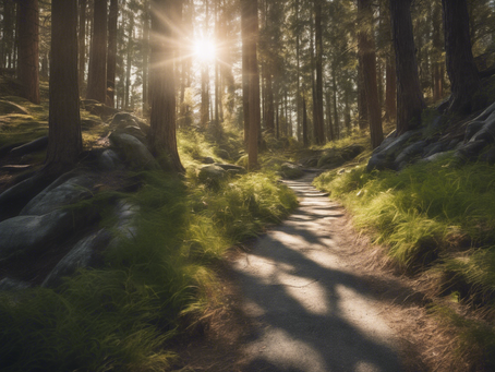 Discover Natural Healing: Kelowna Spinal Flow Services