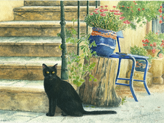 black cat south of france copy.tif