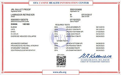 OFA CHIC Cert_edited.jpg