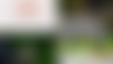 Stage Tai Chi Qi Gong à l’Artkoya