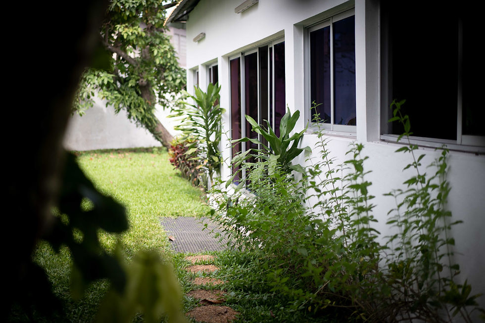 Découvrez nos studios