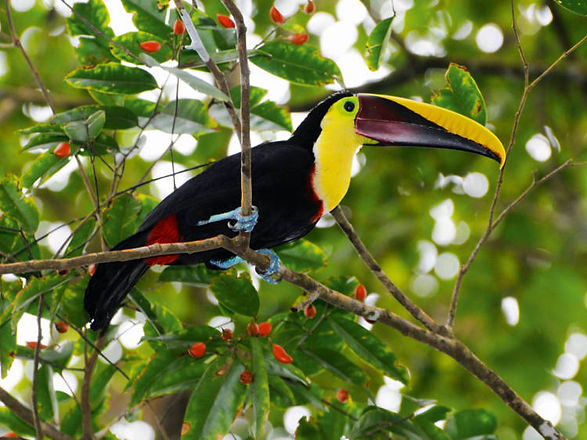 CostaRica06.jpg