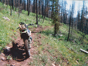 Red Cub Trail motorcycle.jpg