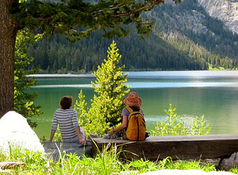 Rockefeller Preserve - sitting bench.jpg